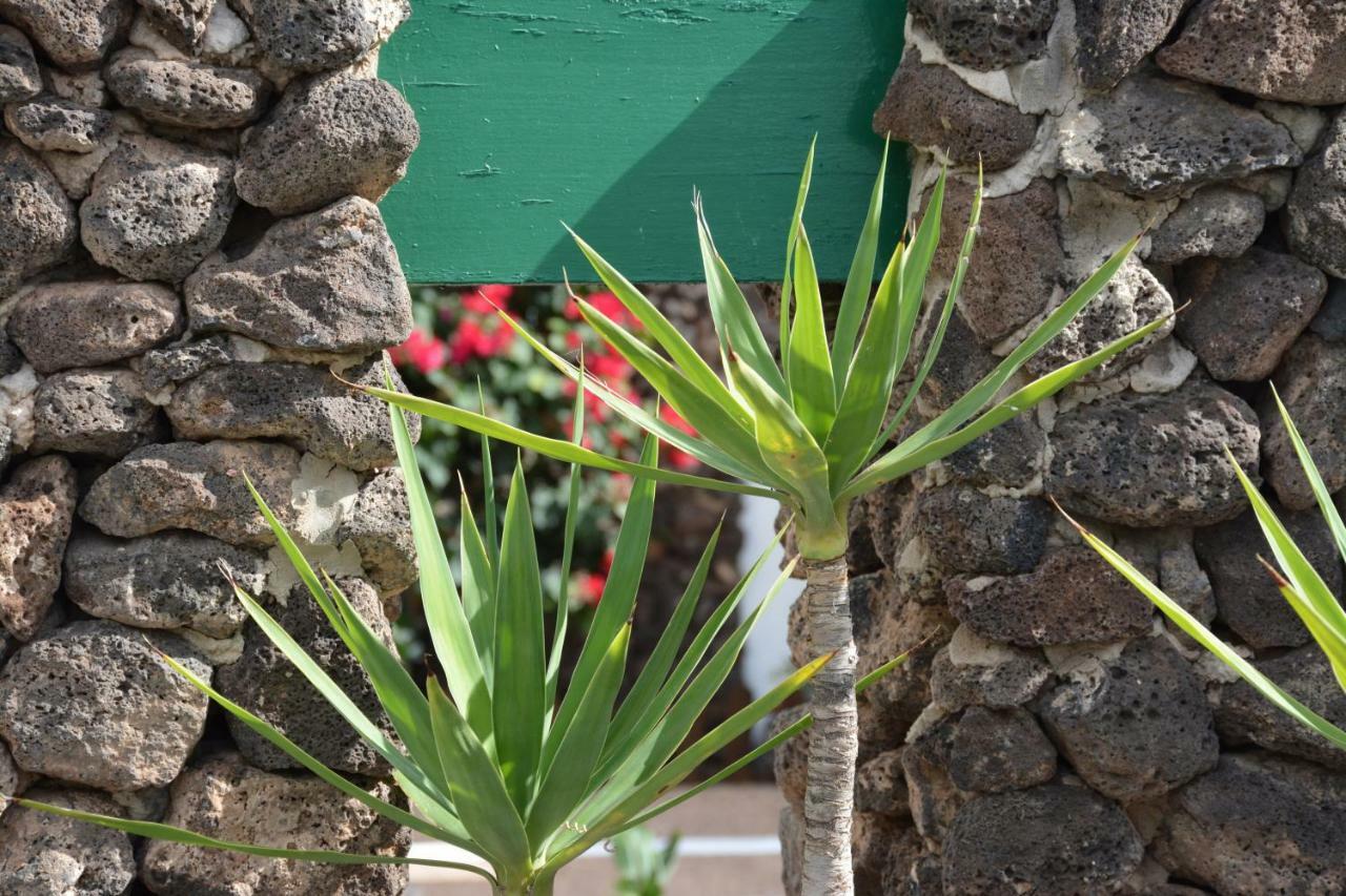 Ave Paraiso - Cozy And Sunny House Puerto del Carmen  Exterior photo